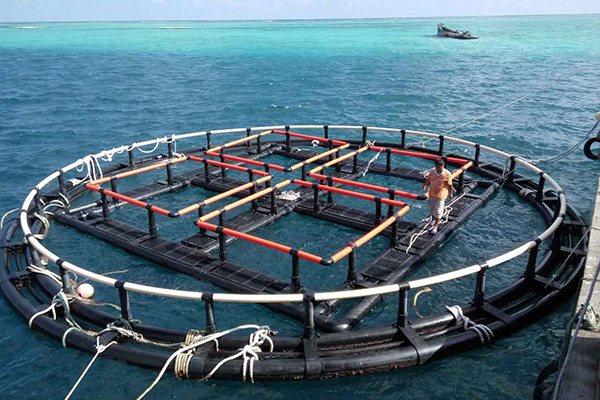 宜昌深海養(yǎng)魚網(wǎng)箱：保護(hù)海洋生態(tài)與滿足食品需求的完美平衡